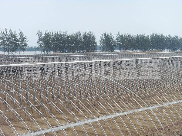 溫室骨架