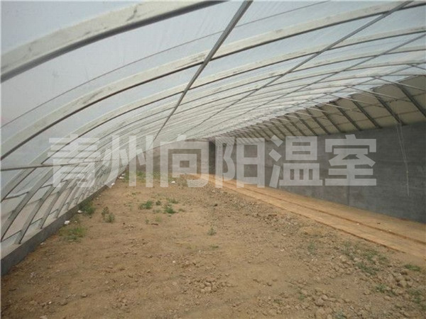 日光溫室 (11)